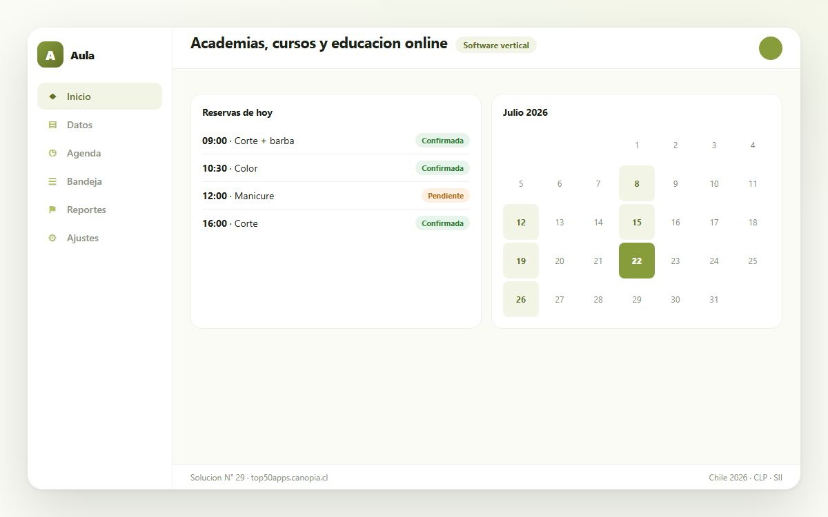 Vista previa de Academias, cursos y educación online